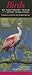 Birds of Southeast Texas & ...