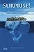 Surprise! From CEOs to Navy SEALs: How a Select Group of Professionals Prepare for and Respond to the Unexpected