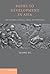 Paths to Development in Asia: South Korea, Vietnam, China, and Indonesia