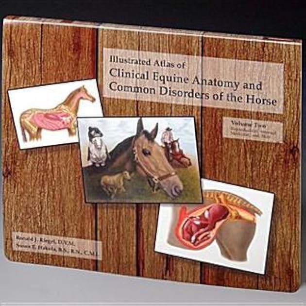 Illustrated Atlas of Clinical Equine Anatomy and Common Disorders of the Horse