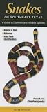 Snakes of Southeast Texas: A Guide to Common & Notable Species