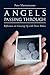 Angels Passing Through: Reflections on Growing Up with Foster Babies