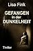 Gefangen in Der Dunkelheit by Lisa Fink