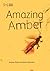 Amazing Amber