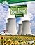 Finding Out about Nuclear Energy (Searchlight Books ™ - What Are Energy Sources?)