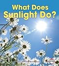 What Does Sunlight Do?