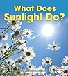 What Does Sunlight Do? by Jennifer Boothroyd
