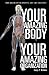 Your Amazing Body Your Amazing Organization