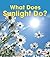What Does Sunlight Do? (First Step Nonfiction: Let's Watch the Weather)