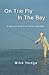 On The Fly In The Bay: A be...