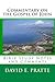 Commentary on the Gospel of John: Bible Study Notes and Comments