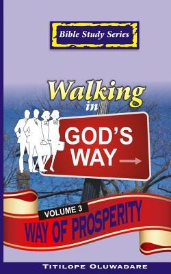 Walking in God's Way: Way of Prosperity (Bible Study Series)