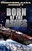 Born of the Ashes by Ryk Brown