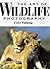 The Art of Wildlife Photography