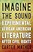 Imagine the Sound: Experimental African American Literature after Civil Rights