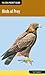 Birds of Prey (Falcon Pocket Guide)