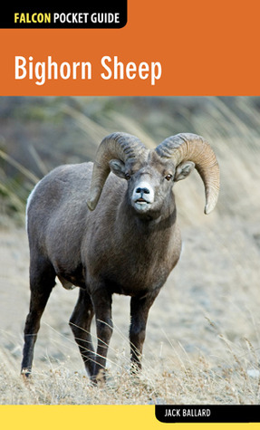 Bighorn Sheep: Falcon Pocket Guide