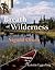 Breath of Wilderness: The Life of Sigurd Olson (Conservation Pioneers)