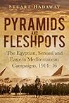 Pyramids and Fleshpots: The Egyptian, Senussi and Eastern Mediterranean Campaigns, 1914 - 16