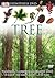 Tree (Eyewitness DVD)