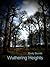 Wuthering Heights (Illustrated)