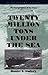 Twenty Million Tons Under the Sea