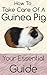 How to Take Care of A Guinea Pig: Your Essential Guide