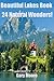 Beautiful Lakes Book-24 Nat...