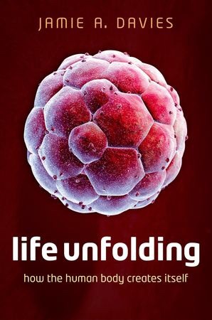Life Unfolding: How the Human Body Creates Itself (Hardcover)