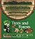 Trees and Forests/from Algae to Sequoias: The History, Life, and Richness of Forests/Book and Stickers (Voyages of Discovery)