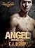 ANGEL 2: When Angels Fall (...