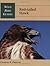 Wild Bird Guide: Red-Tailed Hawk (Wild Bird Guides)