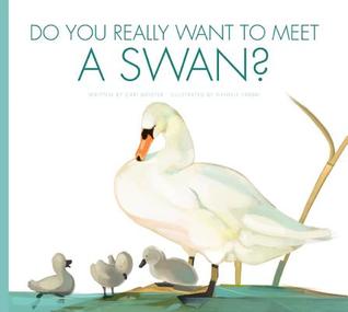 Do You Really Want to Meet a Swan? (Do You Really Want to Meet Wild Animals?)