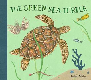 The Green Sea Turtle (Hardcover)