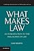 What Makes Law: An Introduction to the Philosophy of Law (Cambridge Introductions to Philosophy and Law)