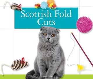 Scottish Fold Cats (Domestic Cats)