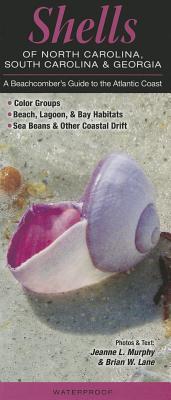 Shells of North Carolina, South Carolina & Georgia: A Beachcomber’s Guide to the Atlantic Coast (Pamphlet)