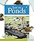 Life in Ponds (Life in Water Biomes)