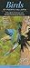 Birds of Puerto Vallarta: A...