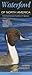 Waterfowl of North America: A Comprehensive Guide to All Species