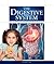 The Digestive System (Human Body)