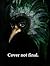 The Feathers (Southern Spec...