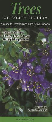 Trees of South Florida: A Guide to Common & Rare Native Species (Pamphlet)