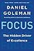 Focus: The Hidden Driver of Excellence