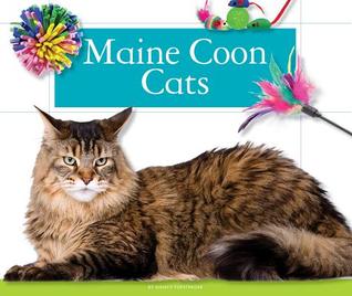 Maine Coon Cats (Domestic Cats)