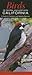 Birds of Central & Northern...
