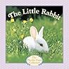 The Little Rabbit by Judy Dunn