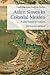 Asian Slaves in Colonial Mexico: From Chinos to Indians (Cambridge Latin American Studies, Series Number 100)
