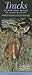 Wildlife of Texas Tracks, Scats and Signs A Guide to Interpreting Common Wildlife Trails