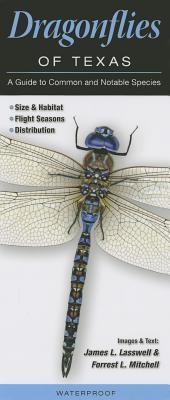 Dragonflies of Texas: A Guide to Common & Notable Species